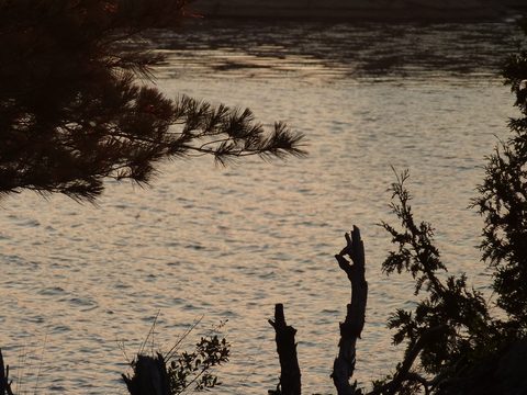 Photo from Kayaking, Deer Island and the Chickens, Georgian Bay