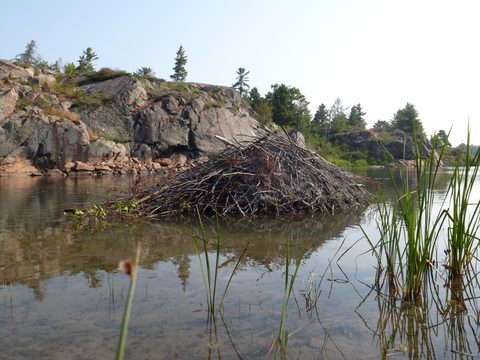 Photo from Kayaking, Deer Island and the Chickens, Georgian Bay