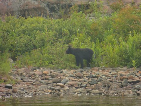 Photo from Kayaking, Deer Island and the Chickens, Georgian Bay