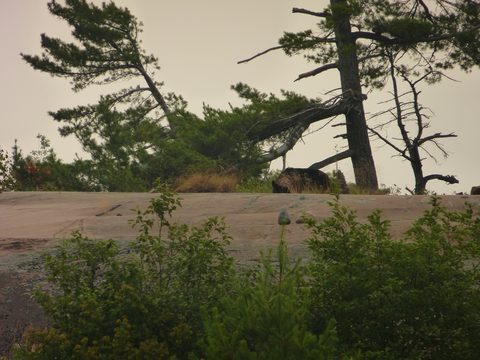 Photo from Kayaking, Deer Island and the Chickens, Georgian Bay
