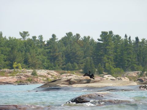 Photo from Kayaking, Deer Island and the Chickens, Georgian Bay