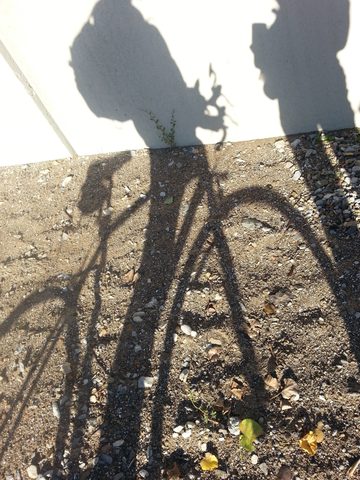 Photo from Niagara Circle Route by Bike