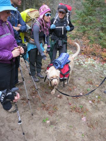 Photo from Thanksgiving weekend in Algonquin Provincial Park