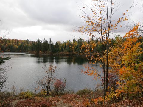 Photo from Thanksgiving weekend in Algonquin Provincial Park