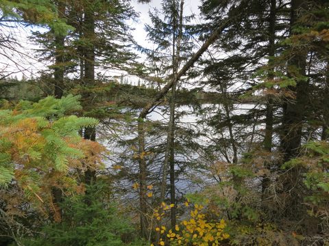 Photo from Thanksgiving weekend in Algonquin Provincial Park