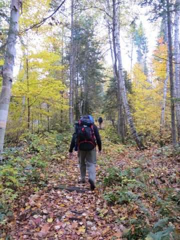Photo from Thanksgiving weekend in Algonquin Provincial Park