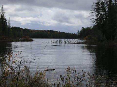 Photo from Thanksgiving weekend in Algonquin Provincial Park