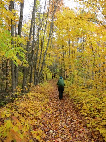 Photo from Thanksgiving weekend in Algonquin Provincial Park