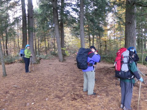 Photo from Thanksgiving weekend in Algonquin Provincial Park