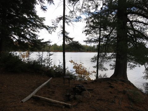 Photo from Thanksgiving weekend in Algonquin Provincial Park