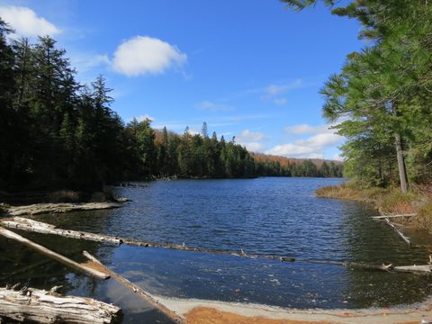 Photo from Thanksgiving weekend in Algonquin Provincial Park