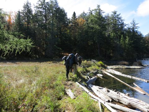 Photo from Thanksgiving weekend in Algonquin Provincial Park