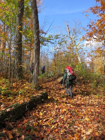 Photo from Thanksgiving weekend in Algonquin Provincial Park