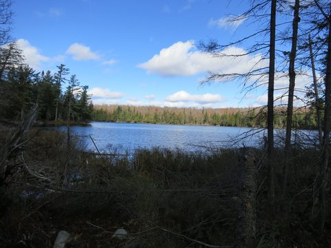 Photo from Thanksgiving weekend in Algonquin Provincial Park