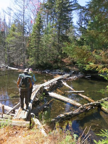 Photo from Thanksgiving weekend in Algonquin Provincial Park