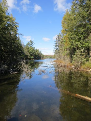 Photo from Thanksgiving weekend in Algonquin Provincial Park