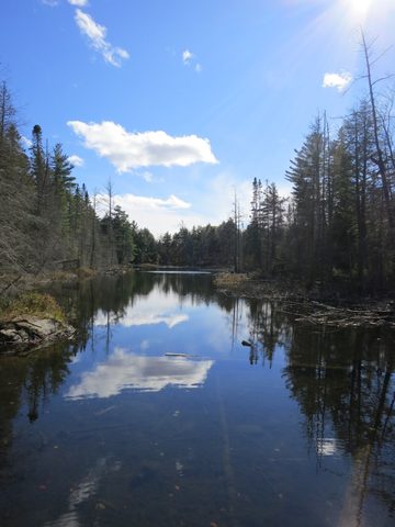 Photo from Thanksgiving weekend in Algonquin Provincial Park