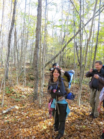 Photo from Thanksgiving weekend in Algonquin Provincial Park