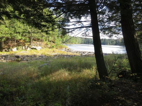 Photo from Thanksgiving weekend in Algonquin Provincial Park