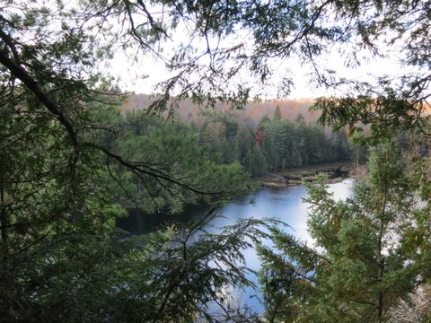 Photo from Thanksgiving weekend in Algonquin Provincial Park