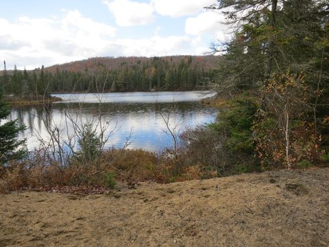 Photo from Thanksgiving weekend in Algonquin Provincial Park