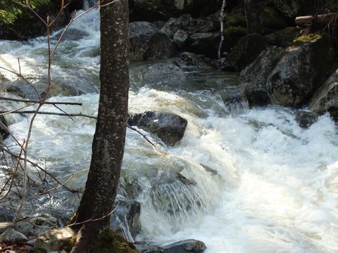 Photo from Peak Bagging in the Adirondacks
