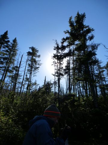 Photo from Peak Bagging in the Adirondacks