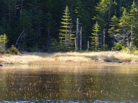 Photo from Peak Bagging in the Adirondacks