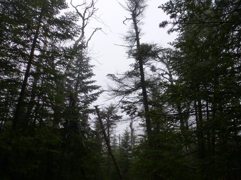 Photo from Peak Bagging in the Adirondacks