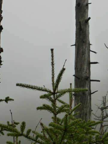 Photo from Peak Bagging in the Adirondacks