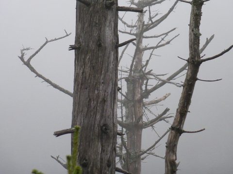 Photo from Peak Bagging in the Adirondacks