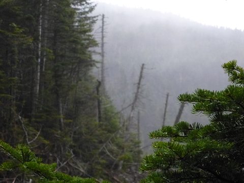Photo from Peak Bagging in the Adirondacks