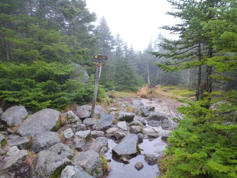 Photo from Peak Bagging in the Adirondacks