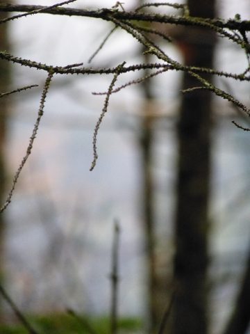 Photo from Peak Bagging in the Adirondacks