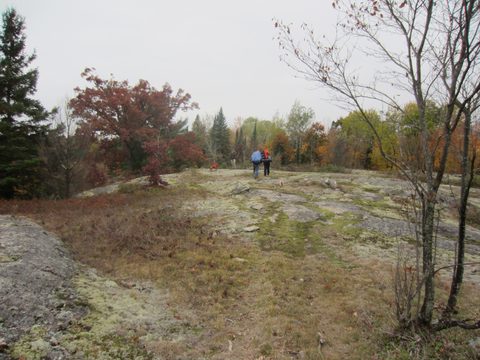 Photo from Backpacking, Ganaraska Trail, Queen Elizabeth Wildlands