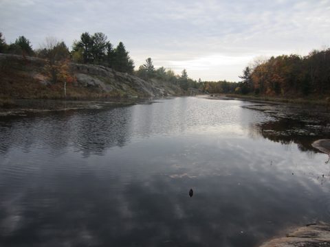 Photo from Backpacking, Ganaraska Trail, Queen Elizabeth Wildlands