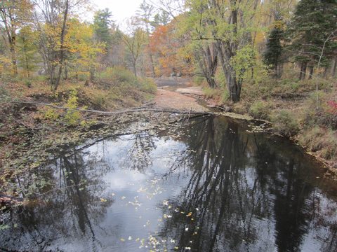 Photo from Backpacking, Ganaraska Trail, Queen Elizabeth Wildlands