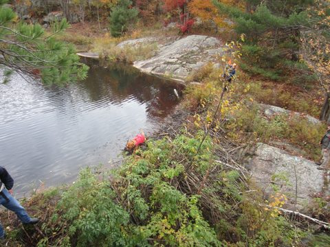 Photo from Backpacking, Ganaraska Trail, Queen Elizabeth Wildlands