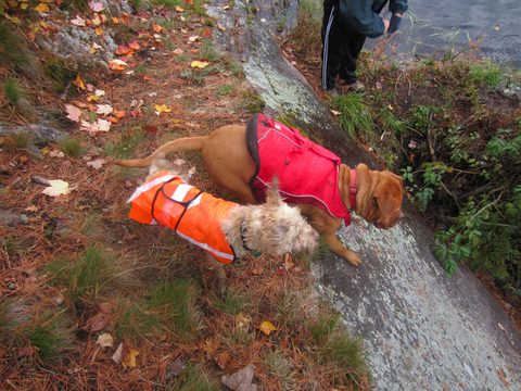 Photo from Backpacking, Ganaraska Trail, Queen Elizabeth Wildlands