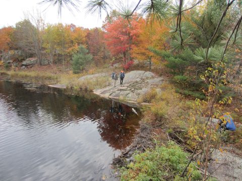 Photo from Backpacking, Ganaraska Trail, Queen Elizabeth Wildlands