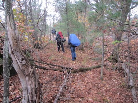 Photo from Backpacking, Ganaraska Trail, Queen Elizabeth Wildlands