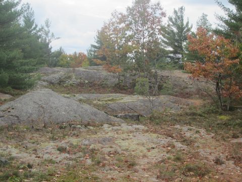 Photo from Backpacking, Ganaraska Trail, Queen Elizabeth Wildlands