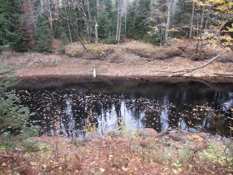 Photo from Backpacking, Ganaraska Trail, Queen Elizabeth Wildlands