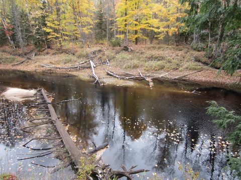 Photo from Backpacking, Ganaraska Trail, Queen Elizabeth Wildlands