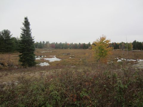 Photo from Backpacking, Ganaraska Trail, Queen Elizabeth Wildlands