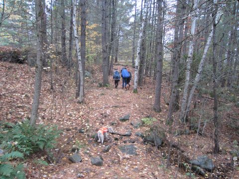 Photo from Backpacking, Ganaraska Trail, Queen Elizabeth Wildlands