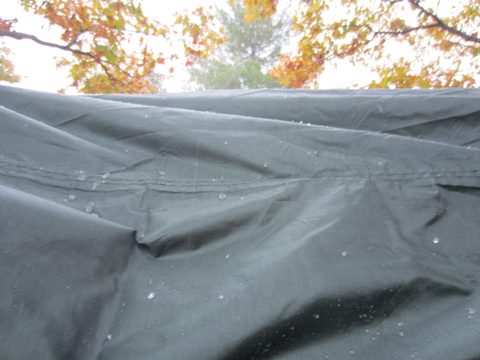 SLEET
