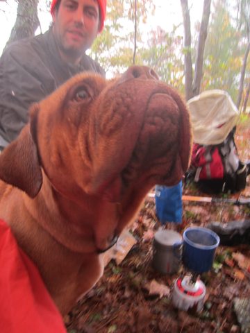 Photo from Backpacking, Ganaraska Trail, Queen Elizabeth Wildlands