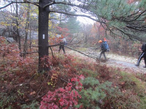 Photo from Backpacking, Ganaraska Trail, Queen Elizabeth Wildlands