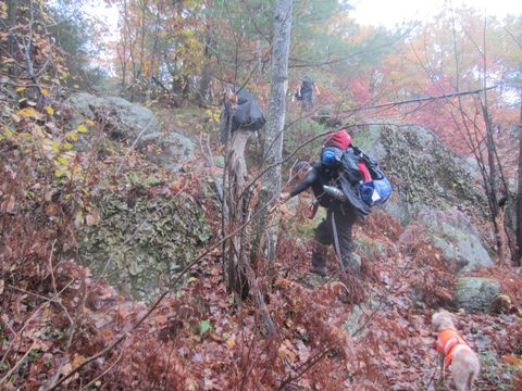Photo from Backpacking, Ganaraska Trail, Queen Elizabeth Wildlands